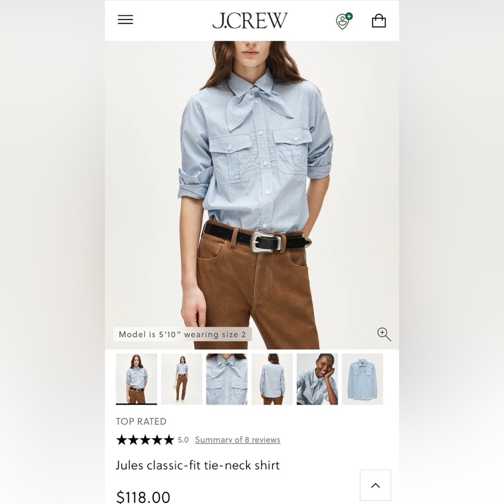 J. Crew Light Blue Striped Tie-Neck Blouse Size 6